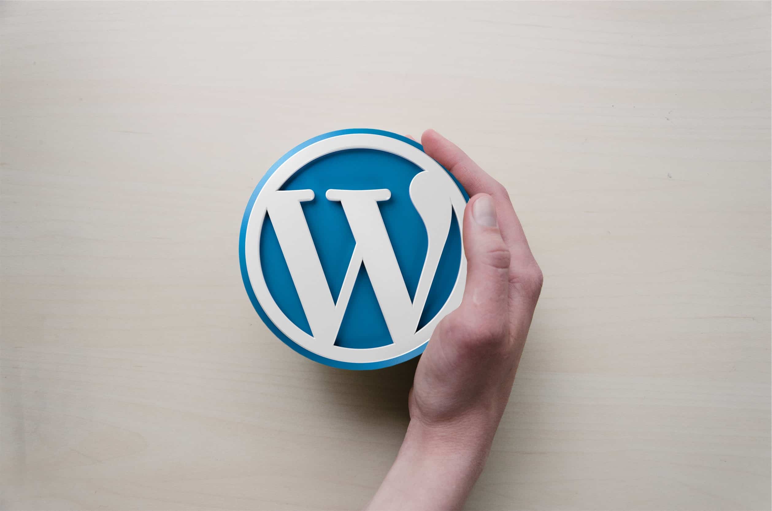 mano che abbraccia logo WordPress