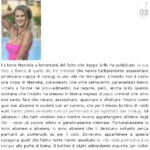 screenshot post razzista
