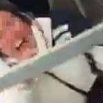 donna rom rinchiusa in gabbia dai razzisti