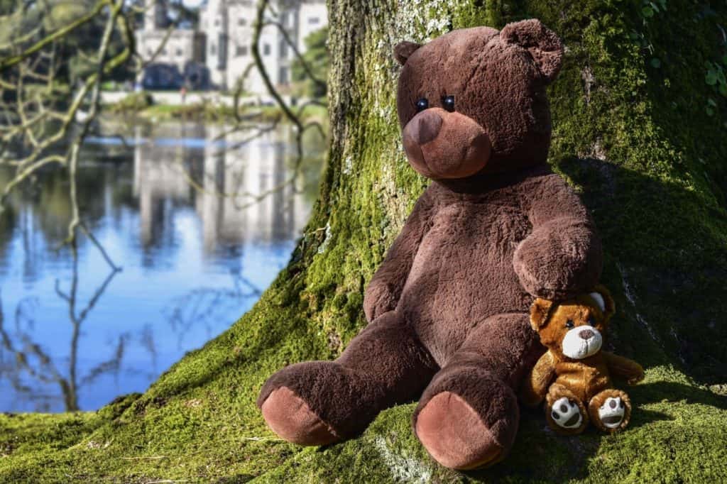 orsacchiotto seduto sotto un albero