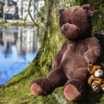 orsacchiotto seduto sotto un albero