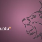 Il desktop del sistema operativo Ubuntu Lucid Lynx