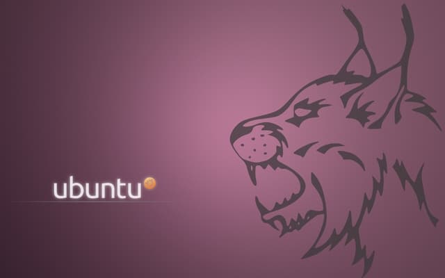 Il desktop del sistema operativo Ubuntu Lucid Lynx