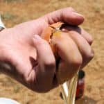 pugno che stringe uovo rotto